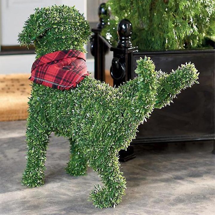 Decorative Peeing Dog Topiary🐕