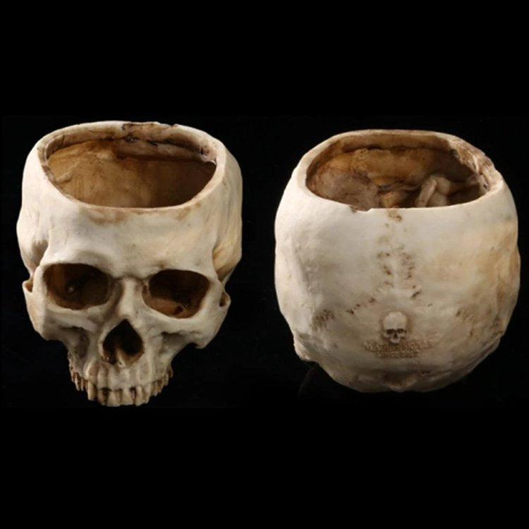 🎃HALLOWEEN SALE🎃HUMAN SKULL BOWL