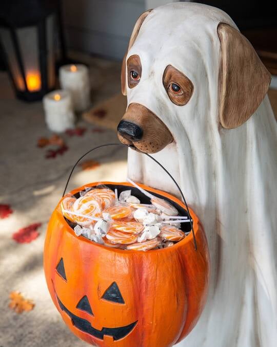 🎃 GHOST DOG CANDY BOWL🎃