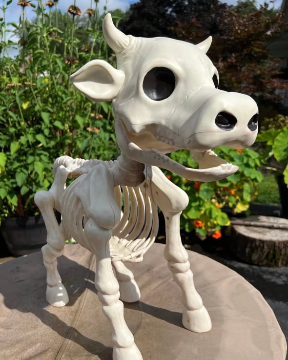 Halloween Sale 50% off-Cow & Horse Skeleton Halloween Decorative Prop