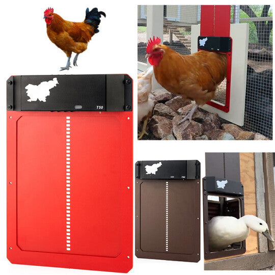 (🎄Hot Sale🎄- 60% OFF)-Poultry Farm Automatic Chicken House Door